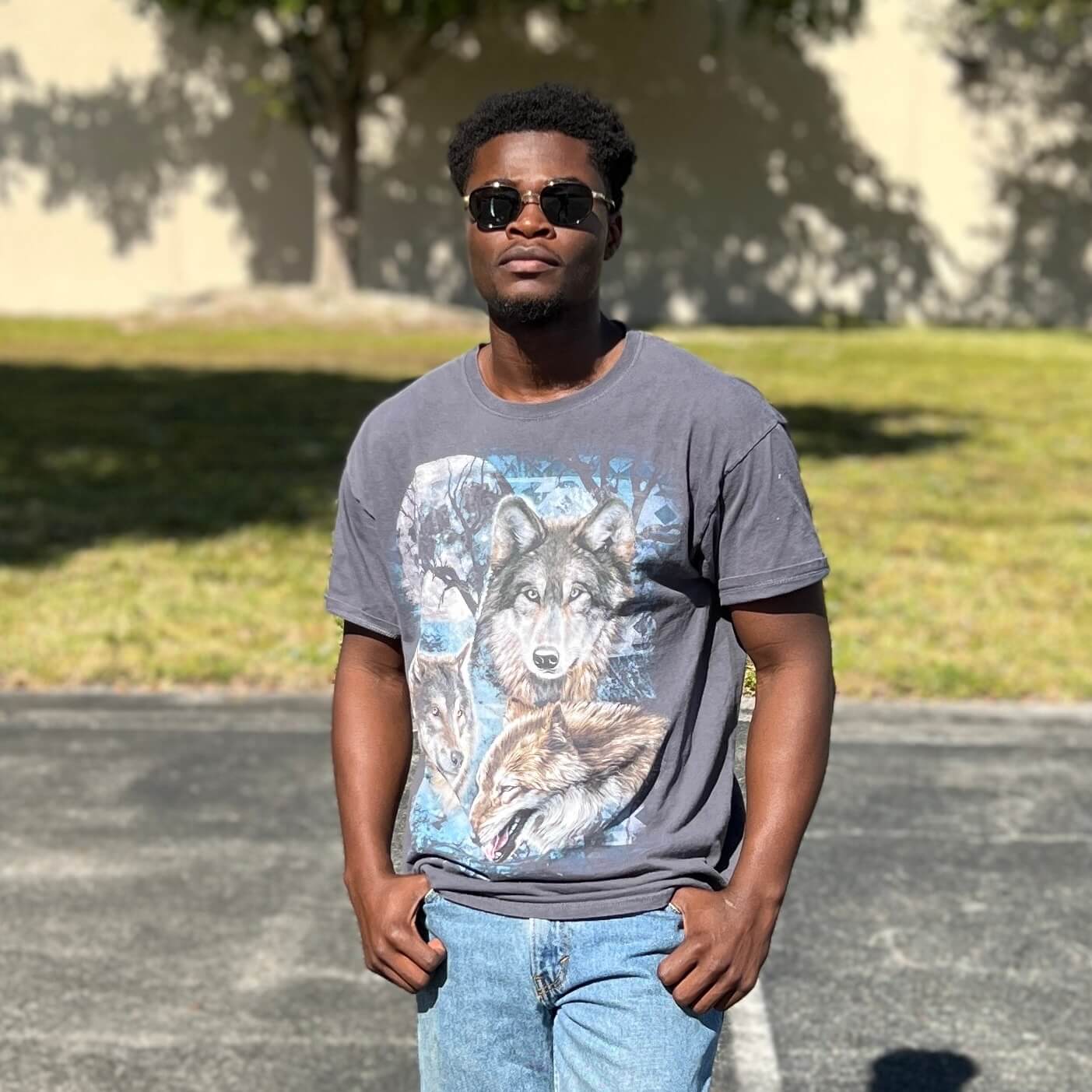 Wolf Animal Graphic T-Shirts