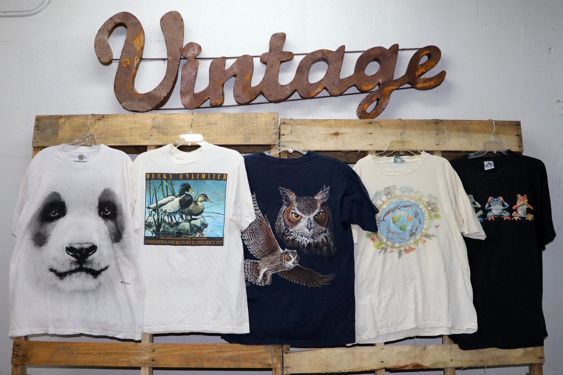 Animal Print T-Shirts - Wholesale Vintage Fashion