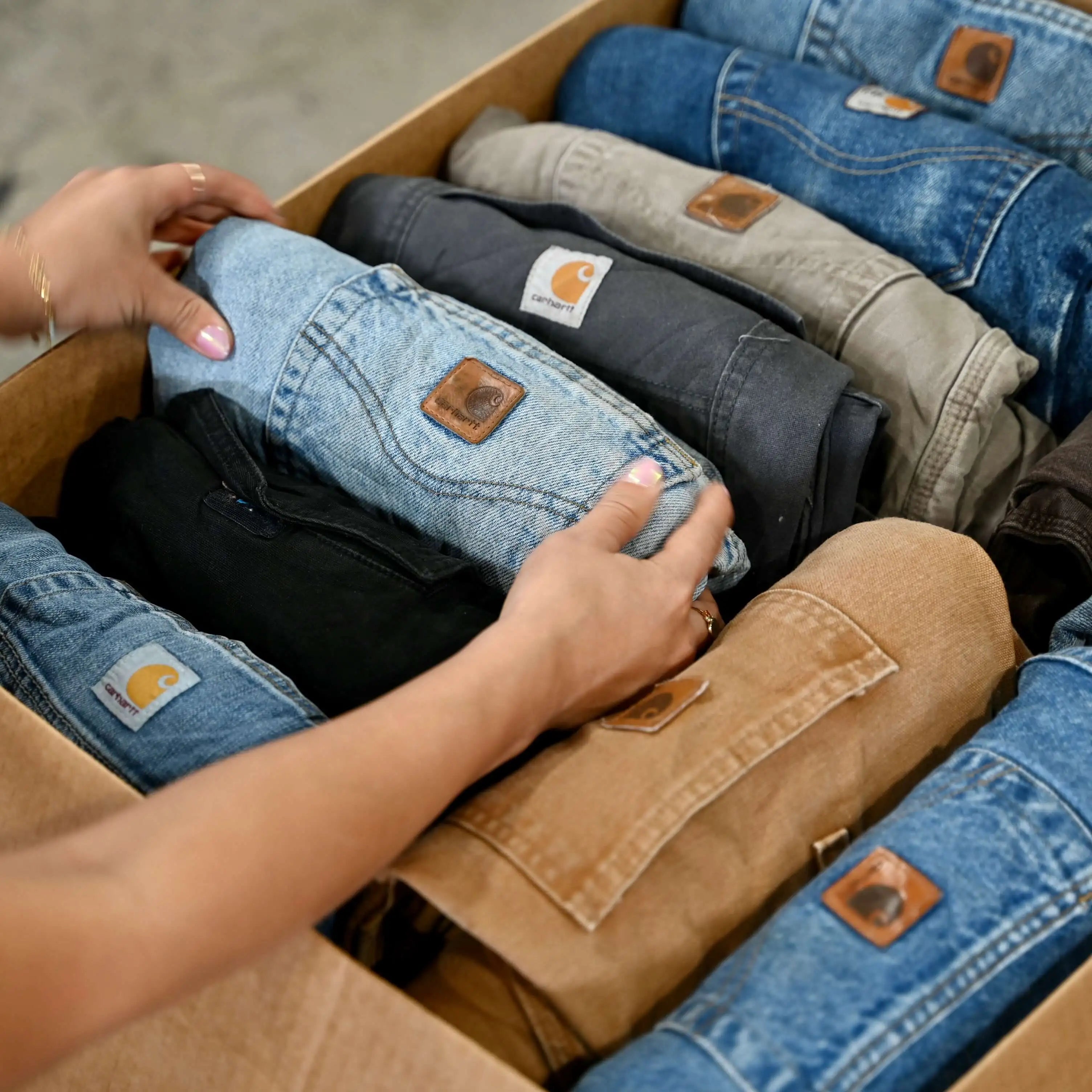 carhartt bulk mens pants
