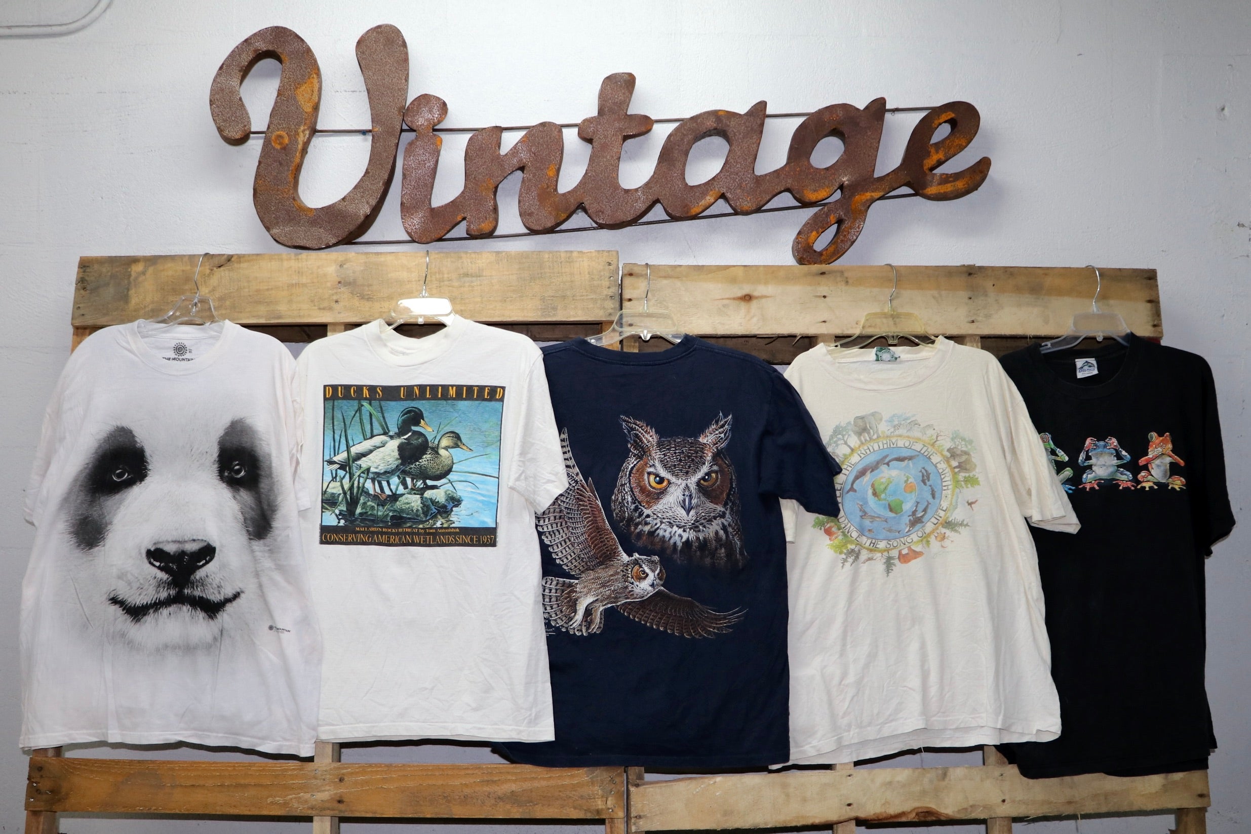 Animal Print T-Shirts - Wholesale Vintage Fashion