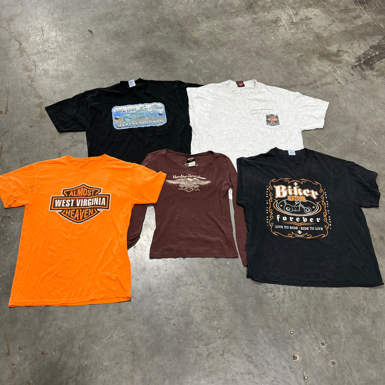 100lb Thrashed & Stained (C Grade) Harley & Biker T-Shirts Bale
